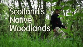 Scotlands Native Woodlands [upl. by Sande]