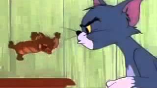 Tom and Jerry Cartoon Timid Tabby Part 1 Cartoons For Children Best Cartoon Episodes [upl. by Oidacra]