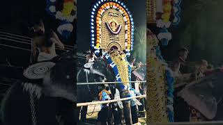 Boothanaadha 🙏🙏🙏🙏 ‎shailpoints drums festival celebration elephant temple devotional people [upl. by Magna]