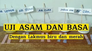 UJI ASAM BASA DENGAN LAKMUS MERAH DAN BIRU  PRAKTIKUM IPA KELAS 7 [upl. by Zerla801]