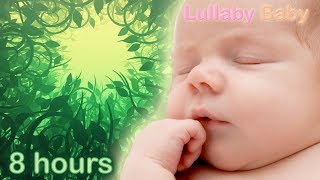 ✰ 8 HOURS ✰ Baby Sleep Music ♫ Relaxing Music for Babies to go to Sleep ♫ FOREST SOUNDS ♫ [upl. by Anhpad499]