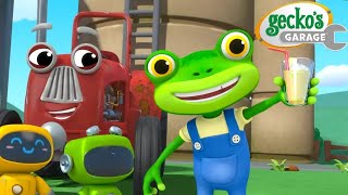 Muddy Water Rescue  Geckos Garage  Cartoons For Kids  Toddler Fun Learning [upl. by Craw]