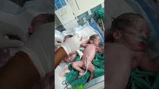 Twince baby after birthday loud cry in nicu cutebaby baby twinbabies twins [upl. by Algie]