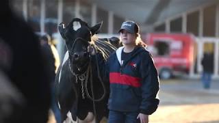 2019 National Holstein Convention [upl. by Raouf302]