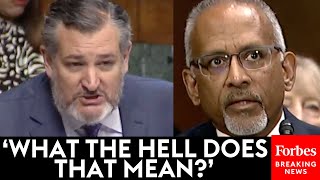 MUST WATCH Ted Cruz Confronts Biden Judicial Nominee With His Past Writings Cruz Calls Marxist [upl. by Alicia]