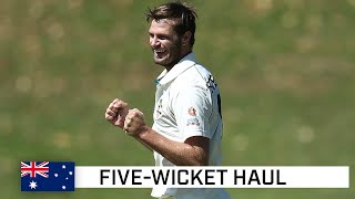 Super Steketee runs through Indians with high five  Indias Tour of Australia 2020 [upl. by Ennirac791]