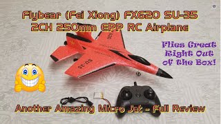 Flybear Fei Xiong FX620 SU35 2CH 250mm EPP RC Airplane  Full Review of Another Amazing Micro Jet [upl. by Imaj292]