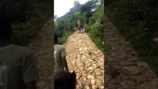 Horseback riding to the Citadelle in Haiti [upl. by Einaffets]