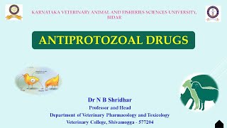 ANTIPROTOZOAL DRUGS INTRODUCTION BY DR N B SHRIDHAR 1372021 [upl. by Yeldoow]