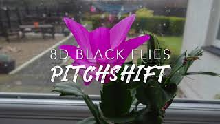 8D Black Flies — Ben Howard  PitchShift [upl. by Odranreb90]