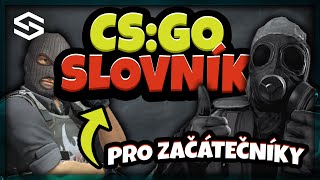 CSGO Slovník Pro Začátečníky Znáte všechny pojmy  Straty [upl. by Nerro]