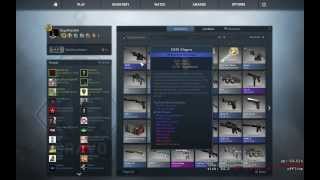 StatTrak™ Winter Offensive Case Key openingunboxing   CSGO [upl. by Ikoek108]