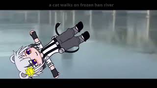 a cat walks on frozen han river [upl. by Alyosha]