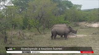 Hoedspruits safety wildlife and bushveld draws in the tourism crowds [upl. by Beach604]