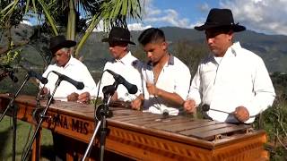 Son Tradicional Marimba Hose Ana Mis [upl. by Andres]