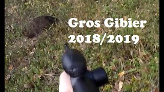 Saison 20182019  Gros Gibiers Sanglier amp Chevreuil [upl. by Ahsaele]