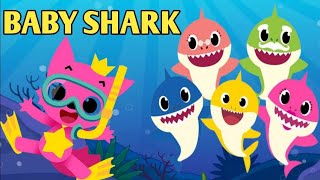 Baby Shark Song and dance Nursery Rhymes amp Kids Songs toddlers [upl. by Neelyk]