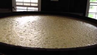 Corn Mash Fermentation [upl. by Nosna267]