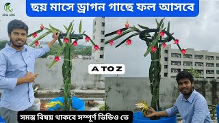 ছয় মাসে ড্রাগন গাছে ফল আসবে  Dragon Farming  Dragon Fruit  Raha Agro [upl. by Malha]