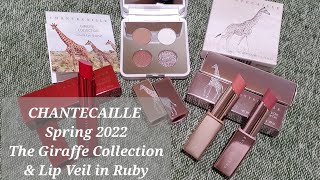 Chantecaille Spring 2022  The Giraffe Collection  Lip Veil in Ruby [upl. by Peddada36]