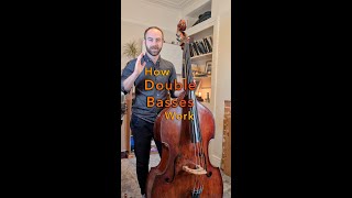 How Double Basses Work [upl. by Lrak]