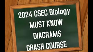 2024 CSEC Biology MUST KNOW DIAGRAMS CRASH COURSE [upl. by Clifford]