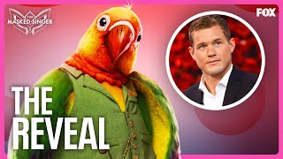 The Reveal Colton Underwood is Lovebird  Season 11  The Masked Singer [upl. by Asiluy]