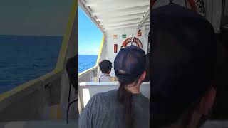 Cozumel ferry live music mexico royalcaribbean [upl. by Ilhsa]