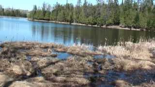 SOLD Maine Real Estate For Sale  160 Acres Of Farm Land Log Home Lake MOOERS 8199 [upl. by Joe]