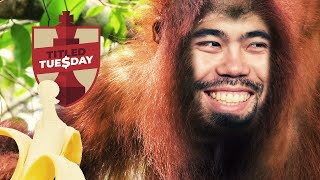 Titled Tuesday featuring 1 b4 The Orangutan by GM Hikaru Nakamura [upl. by Yelsnya]