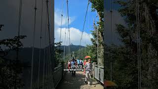 The Zhangjiajie Glass Bridges Instant Popularity [upl. by Adalard]