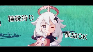 全地域探索度100％なった！【原神166日目】 [upl. by Ayotal]