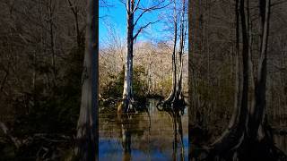 Swamp Tour Slidell Louisiana [upl. by Stacey714]