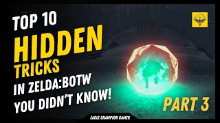 Top 10 Hidden Tricks in Zelda BOTW  Part 3 Infinite Rupees and Master Shield Surfing [upl. by Niajneb626]