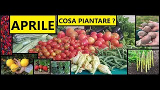 Cosa piantare ad APRILE nellOrto nel Frutteto e in Casa  Tutorial Agricoltura [upl. by Delmer]