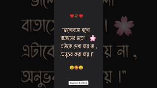 ভালোবাসার অনুভুতি  caption lovequotes [upl. by Agni825]