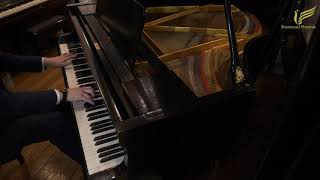 Danemann Baby Grand Piano  Demonstrated by Sherwood Phoenix [upl. by Ahsikin]