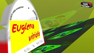 Euglena viridis  Habits Habitat amp Structure  part2 [upl. by Roanne891]