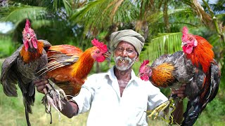 FIGHTING CHICKEN BIRYANI சண்டை சேவல் பிரியாணி  Grandpa Cooking Show [upl. by Tooley]