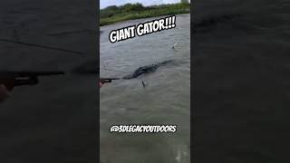 Full video on channel gator hunting fyp alligator texas outdoors 3dlegacyoutdoors fishing [upl. by Acalia847]