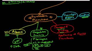 Hepatic Physiology 1 Functions of the Liver [upl. by Herriott]