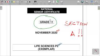 GRADE 11 LIFE SCIENCE NOV P2 2020 REVISION MEMO [upl. by Martelli]