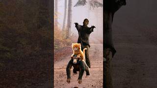 Cute kittens and monkey run from zombie catvideos cutecats catlover trendingshorts [upl. by Hurwit838]