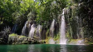 Naturaleza bosque flores y cascadas Landscapes Relajación [upl. by Sauder712]