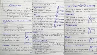 Chromosomes Structure of Chromosomes Types of Chromosomes in hindi [upl. by Elreath899]