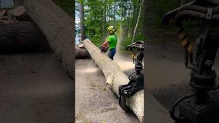 STIHL 500i vs OAK [upl. by Germaun307]