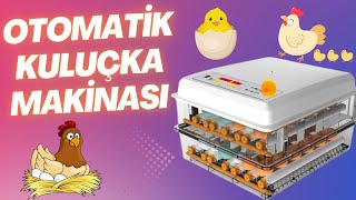 120lik Tam Otomatik Kuluçka Makinası Kurulum ve Tanıtımı [upl. by Deirdre]