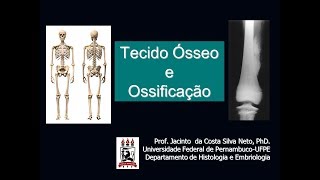 6Tecido Ósseo e Ossificação  Nível de Graduação [upl. by Stanislaw]