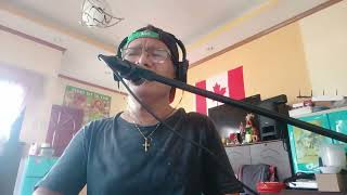 MINAMAHAL KITA Freddie Aguilar Acoustic Piano Cover With Voice [upl. by Moritz]