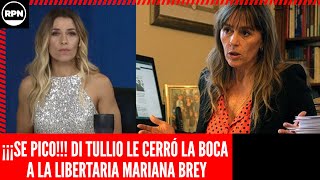 ¡¡¡SE PICO DI TULLIO LE CERRÓ LA BOCA A LA LIBERTARIA MARIANA BREY “¿ENTENDISTE” [upl. by Hewett]